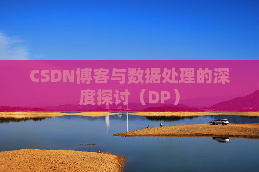 CSDN博客与数据处理的深度探讨（DP）